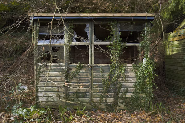 Shed Clearance